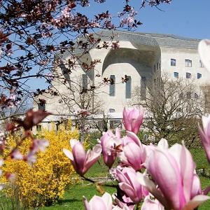 Goetheanum_met_bloemen Dagboek Sanne Bruinier  - AViN - Antroposofische Vereniging in Nederland