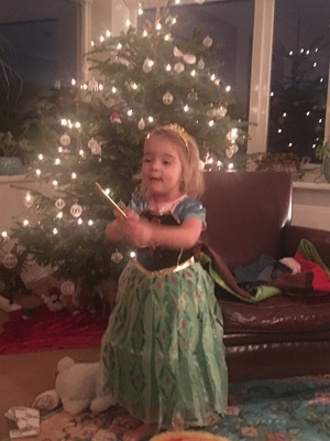 Kerst image Kerst Kerst ontrafeld en de magie van de 12 Heilige Nachten-Bijeenkomsten - AViN - Antroposofische Vereniging in Nederland