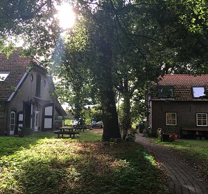 Wederkerigheid Mens en Kosmos, 100 jaar Rudolf Steiner. En nu? - AViN - Antroposofische Vereniging in Nederland
