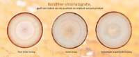 Boek en onderzoek naar “De waarde van Honing”