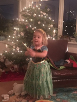 Kerst ontrafeld en de magie van de 12 Heilige Nachten