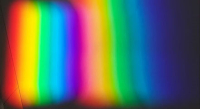 Ethersoorten in het zonlicht 